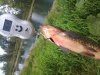 20160820_160316.jpg
