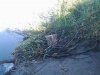 20160823_181333.jpg