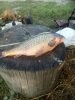 IMG-20160829-WA0001.jpg