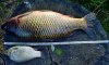 IMG-20160829-WA0000.jpg