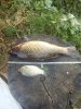 IMG-20160829-WA0002.jpg