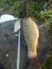 IMG-20160829-WA0003.jpg