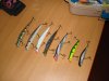DSC07432.JPG