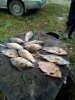 IMG_20160831_145023.jpg