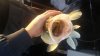 20160913_073159.jpg