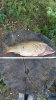 IMG-20160924-WA0000.jpg
