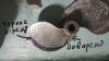 tmp-cam--1219784494.jpg