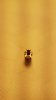 IMG-20161115-WA0032.jpg