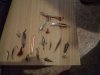 DSC01737.JPG