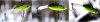 3e64c2ca500a1cf0b5c5d5fa073c9cf6.jpg