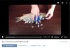 Video.jpg Video.jpg