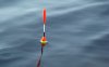 dsc04352vvvr.jpg