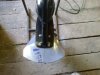 20170519-0001.jpeg