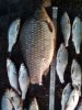 IMG_20170523_213206.jpg
