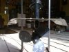 20170524-0004.jpeg
