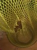 IMG_20170625_200411.jpg