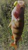 DSC_0670.JPG DSC_0670.JPG