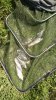 IMG-20170716-WA0003.jpeg
