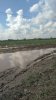 IMG-20170722-WA0016.jpeg