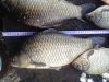 IMG_20170725_102612.jpg