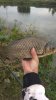 IMG-20170831-WA0031.jpeg