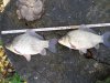 20170924_170835.jpg