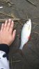 IMG-20171001-WA0004.jpeg