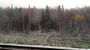 P_20170925_121523w.jpg P_20170925_121523w.jpg