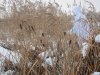 52473640_w640_h640_maskkostyum.jpg