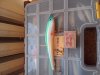 20171026_174457.jpg
