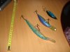 DSC08223.JPG
