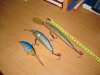DSC08222.JPG