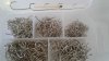 20180209_133636.jpg