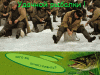 5697369.gif