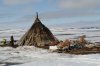 DSC01906ф.jpg