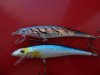 DSC01839.JPG