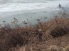 IMG_20180415_105626.jpg