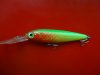 DSC01914.JPG