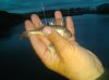 IMG-20180501-WA0164.jpg