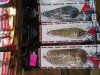 20180503_143815.jpg
