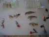 DSC01870.JPG
