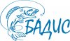 Логотип_Бадис (2).jpg
