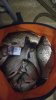 IMG-20180708-WA0025.jpeg