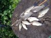 20180719_140027.jpg 20180719_140027.jpg