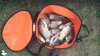 IMG-20180721-WA0009.jpeg