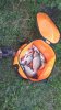 IMG-20180725-WA0025.jpeg