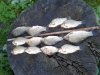 20180808_163734.jpg