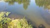 20180816_103740.jpg