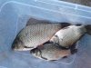 20180817_155348.jpg