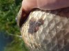 20180819_085507.jpg
